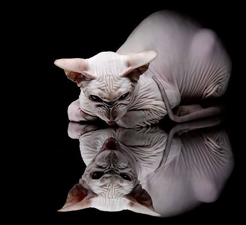 九游娱乐官方平台-今年联盟助攻榜：最精彩的“神级传球”瞬间盘点！，lol助攻榜